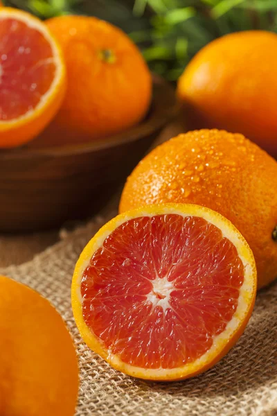 Healthy Organic Ripe Blood Orange — Stock Photo, Image