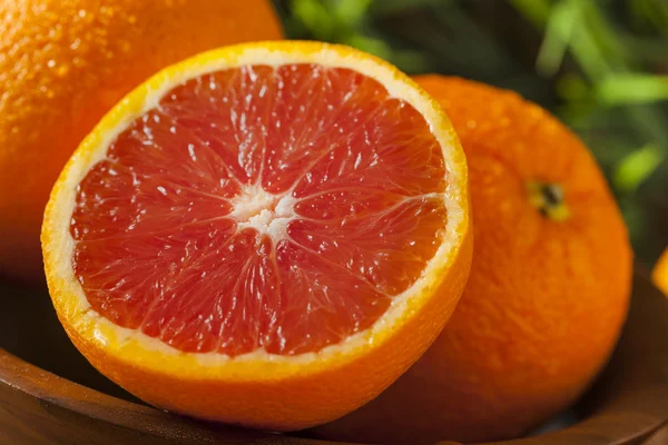 Gezonde organische rijp bloedsinaasappel — Stockfoto