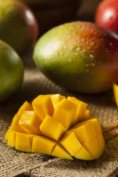 Organic Colorful Ripe Mangos — Stock Photo, Image