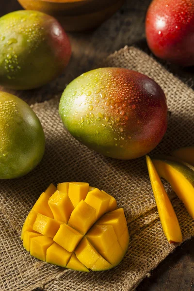 Органические разноцветные спелые манго — стоковое фото