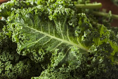 sağlıklı ham yeşil lahana