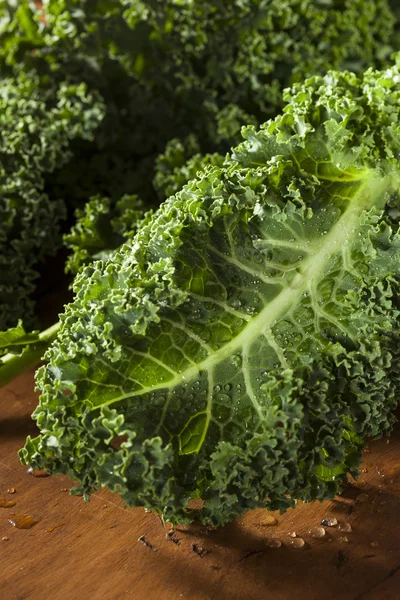 Healthy Raw Green Kale — Stock Photo, Image