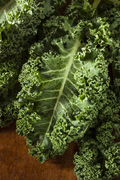 Zdravé zelené surového kale — Stockfoto