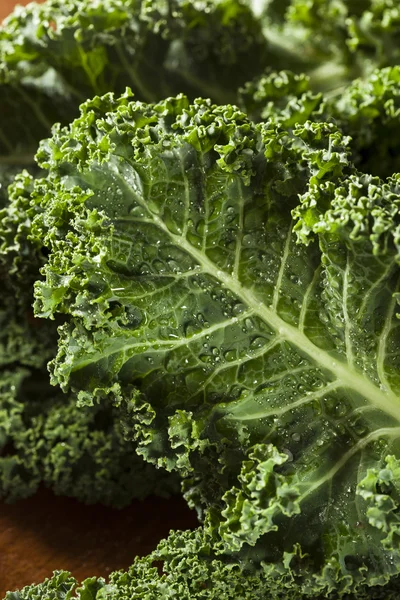 Healthy Raw Green Kale — Stock Photo, Image