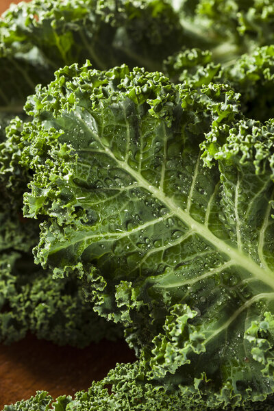 Healthy Raw Green Kale