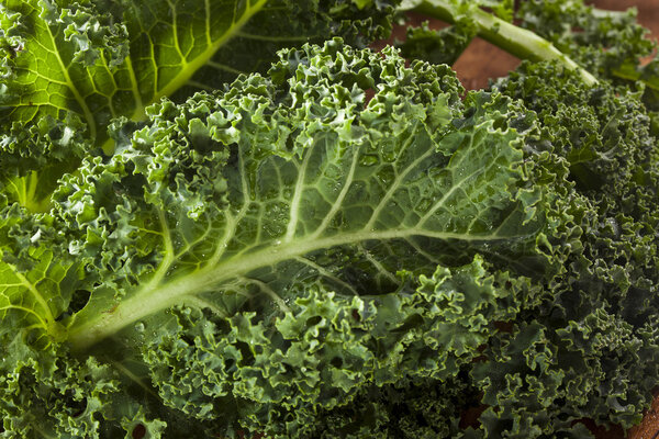 Healthy Raw Green Kale