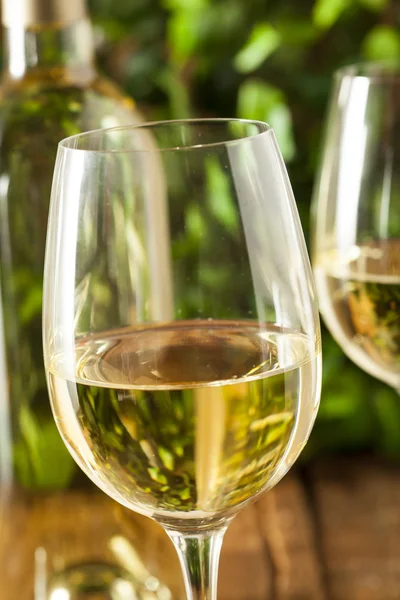 Rinfrescante vino bianco in un bicchiere — Foto Stock