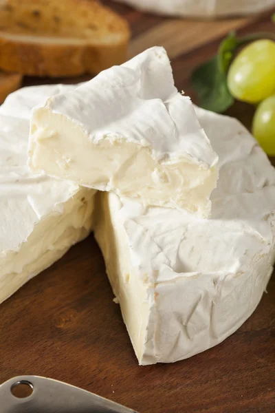 Biologische zelfgemaakte witte brie kaas — Stockfoto