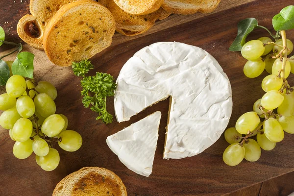 Ekologisk hemgjord vit brie ost — Stockfoto