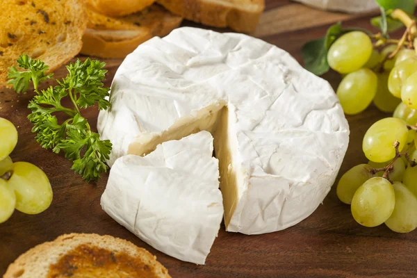 Ekologisk hemgjord vit brie ost — Stockfoto