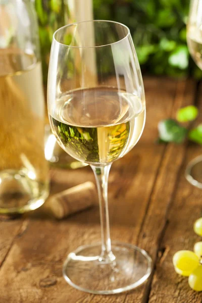 Refreshring białe wino w szklance — Zdjęcie stockowe