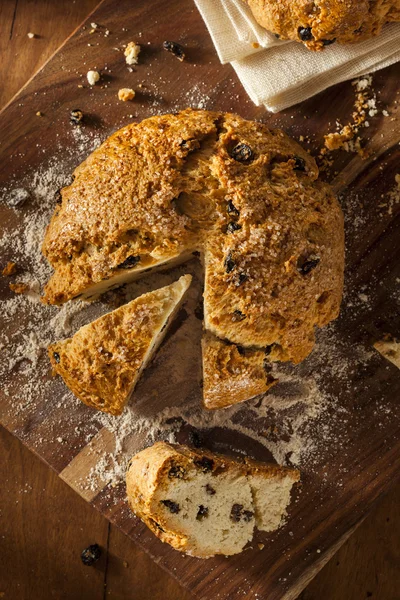 Pane tradizionale irlandese di soda — Foto Stock