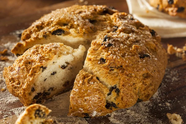 Traditional Irish Soda Bread — Stock Photo, Image