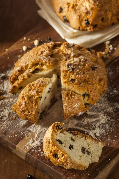 Pane tradizionale irlandese di soda — Foto Stock