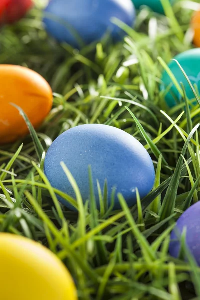Ovos tingidos coloridos para a Páscoa — Fotografia de Stock