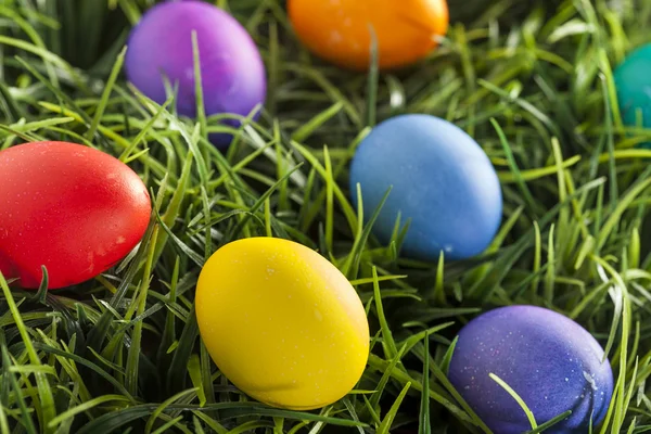 Renkli boyalı yumurta Paskalya için — Stok fotoğraf