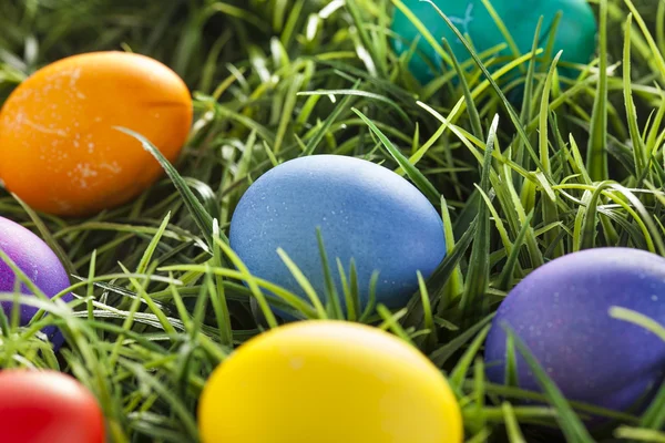 Colorful Dyed Eggs for Easter — Stock Photo, Image