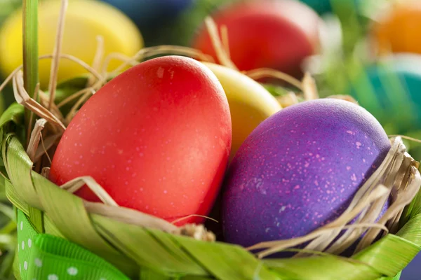 Colorful Dyed Eggs for Easter — Stock Photo, Image