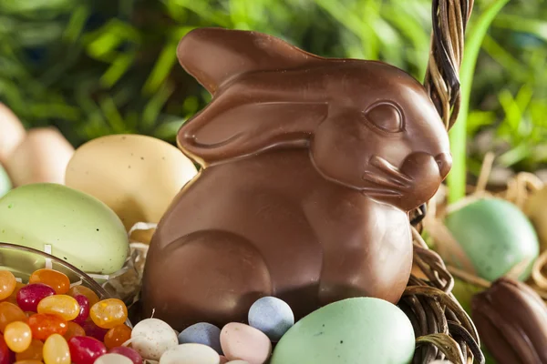 Chocolate Easter Bunny in a Basket — Stock Photo, Image