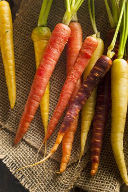 çiğ havuç renkli renkli multi