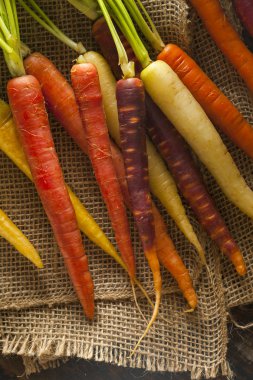 çiğ havuç renkli renkli multi