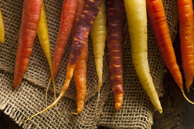 çiğ havuç renkli renkli multi