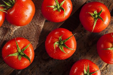 Organik kırmızı olgun domatesler.