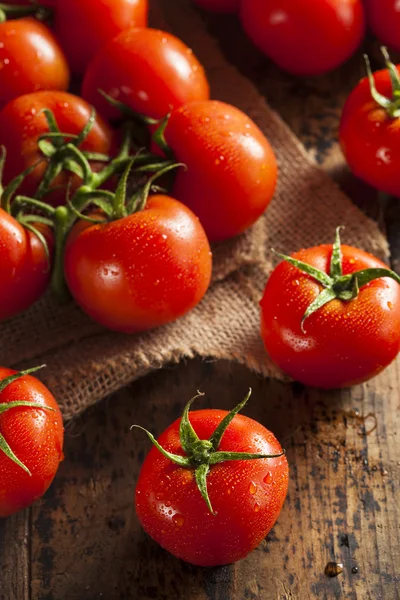 Ekologiska röda mogna tomater — Stockfoto