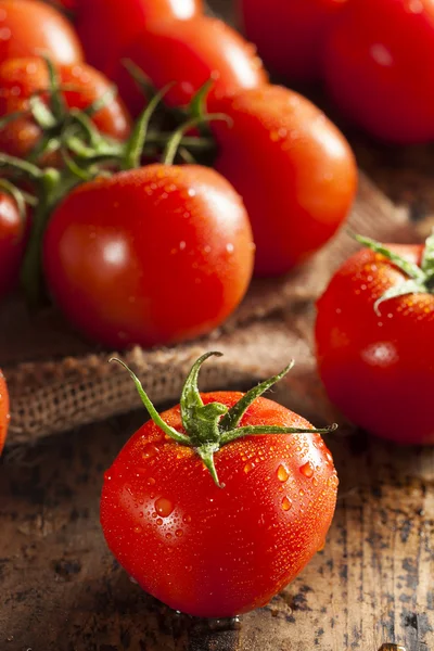 Ekologiska röda mogna tomater — Stockfoto
