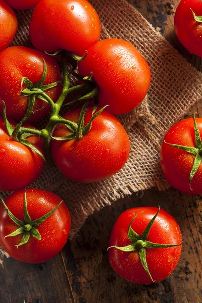 Biologische rode rijpe tomaten — Stockfoto