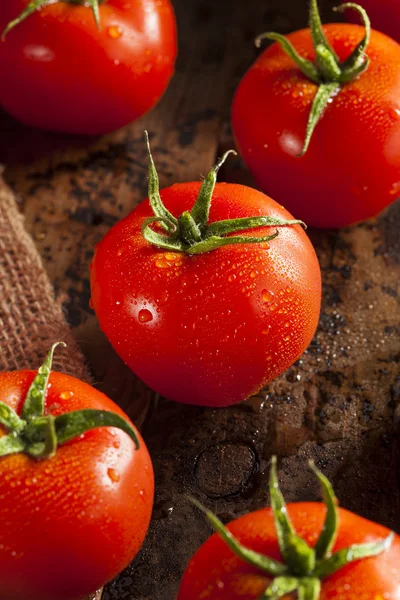 Tomates maduros rojos ecológicos — Foto de Stock