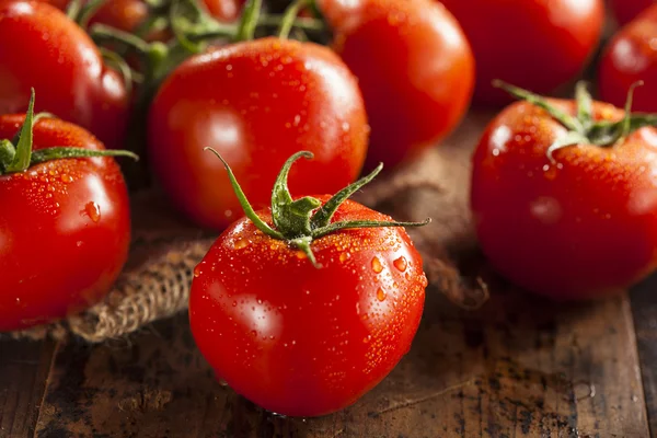 Ekologická zralá rajčata — Stock fotografie