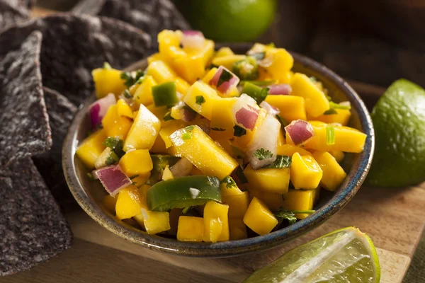 Verse zelfgemaakte mango salsa — Stockfoto