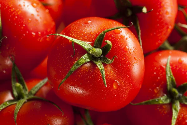 Органические красные спелые помидоры — стоковое фото