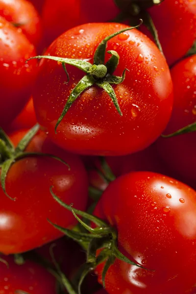 Organic Red Ripe Tomatoes Royalty Free Stock Photos