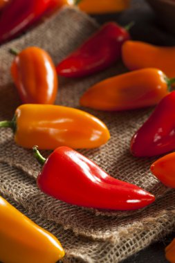 Organik renkli biber grubu