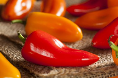 Organik renkli biber grubu