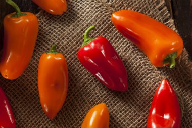 Organik renkli biber grubu