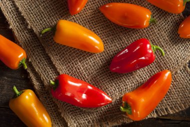 Organik renkli biber grubu