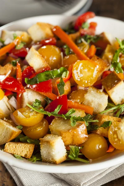 Salade traditionnelle Panzanella saine — Photo