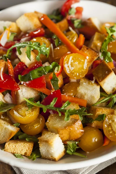 Panzanella Salad Sehat Tradisional — Stok Foto