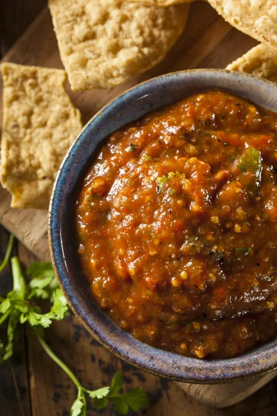 Biologische rode pittige salsa — Stockfoto