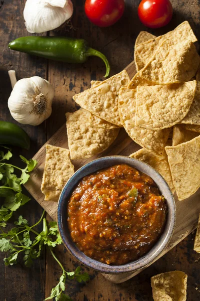 Organik kırmızı baharatlı salsa — Stok fotoğraf