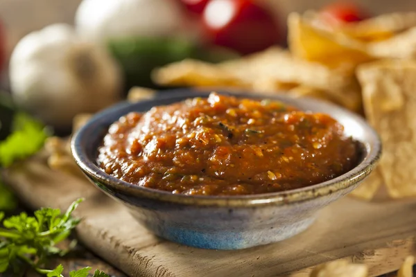 Ekologisk röd kryddig salsa — Stockfoto