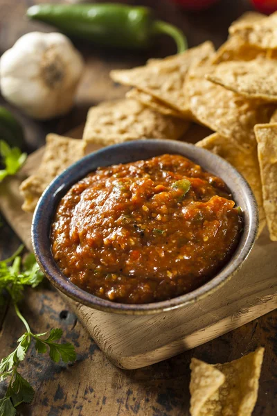 Szerves piros fűszeres salsa — Stock Fotó