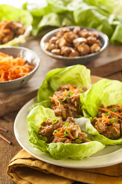 Healthy Asian Chicken Lettuce Wrap — Stock Photo, Image