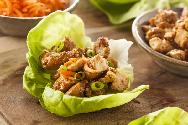 Friska asiatisk kyckling sallad wrap — Stockfoto