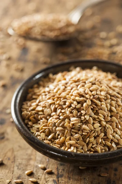 Organic Raw Flax Seeds — Stock Photo, Image