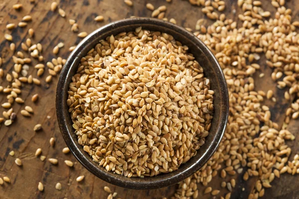 Organic Raw Flax Seeds — Stock Photo, Image