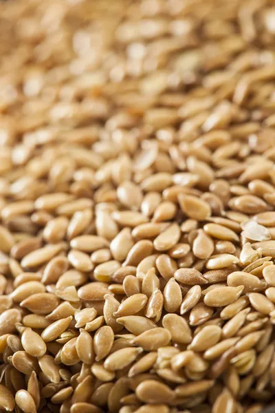 Organic Raw Flax Seeds — Stock Photo, Image
